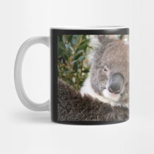 Home Among The Gum Leaves Mug